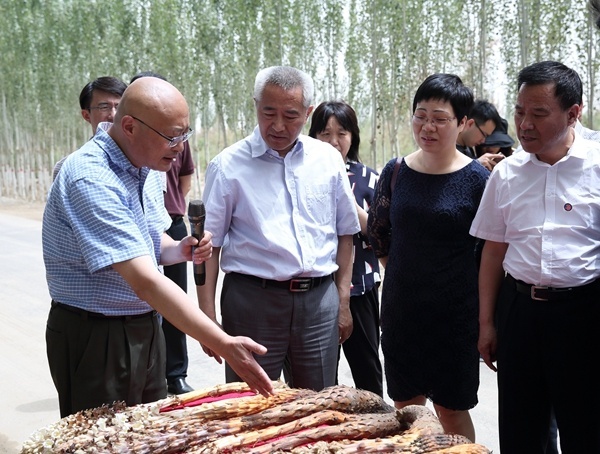 36dd5664bc15493795e6d5ad6f58b24c.jpg 屠鵬飛(左一)向全國政協主席邵鴻(左二)介紹肉蓯蓉藥材.jpg
