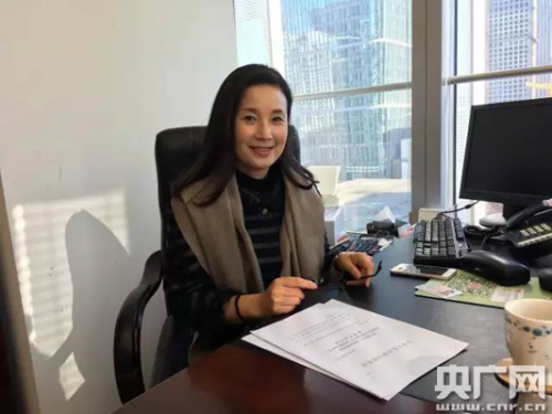 全國政協委員劉紅宇女士，攝影陳菲