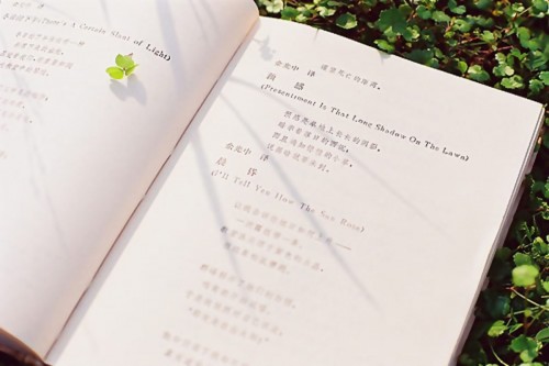 最後一張