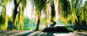 湖邊少年_副本