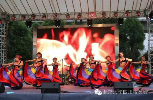 四川意昂會2016年會博雅藝術團演出