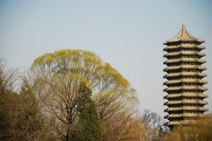 DSC_0099_副本